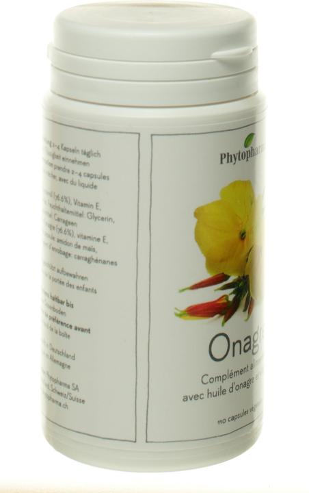 Produktbild Phytopharma Nachtkerze (1 Stück, Kapseln, 110 g)