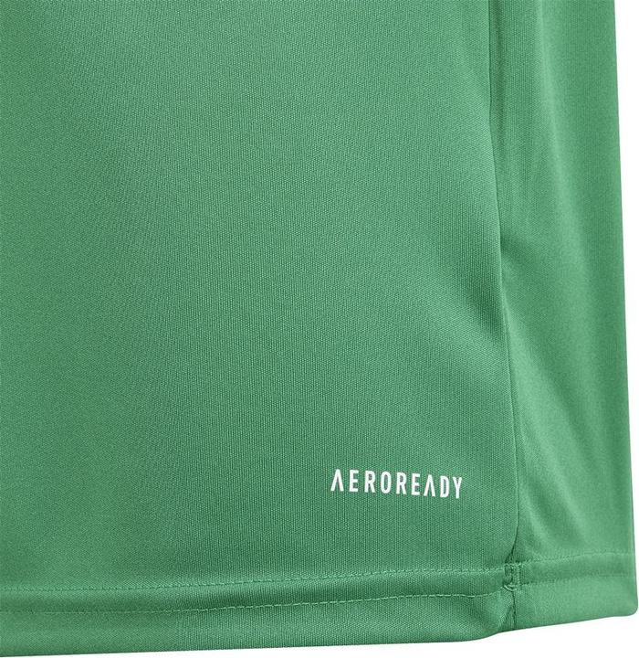 Image du produit adidas FORTORE23 JSY Y (152)