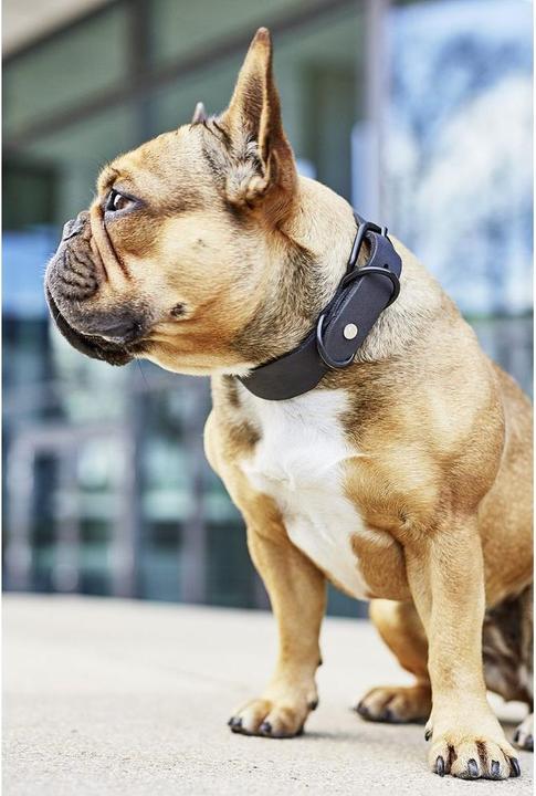 Immagine prodotto Laboni Collare Giro M (M, Cane, Generale)