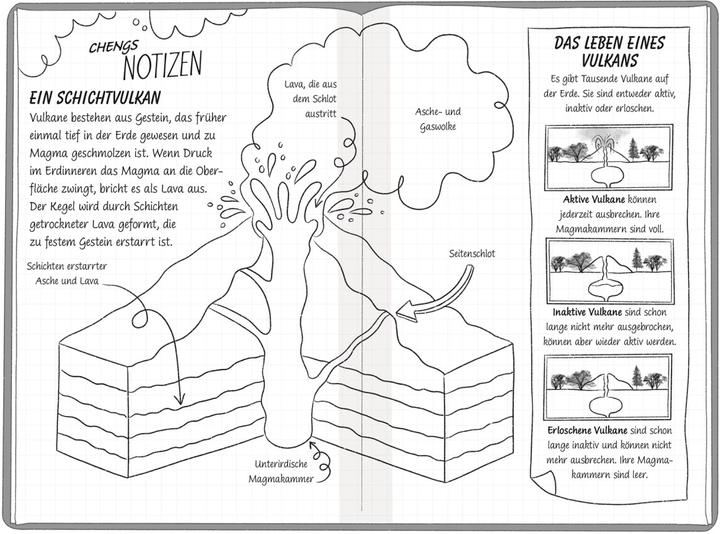 Immagine prodotto Ein Fall für die Forscher-Kids 6. Einsatz am Vulkan (Tedesco, S. J. King, Violeta Topalova, Ellie O'Shea, DK Verlag - Bambini, 2024)