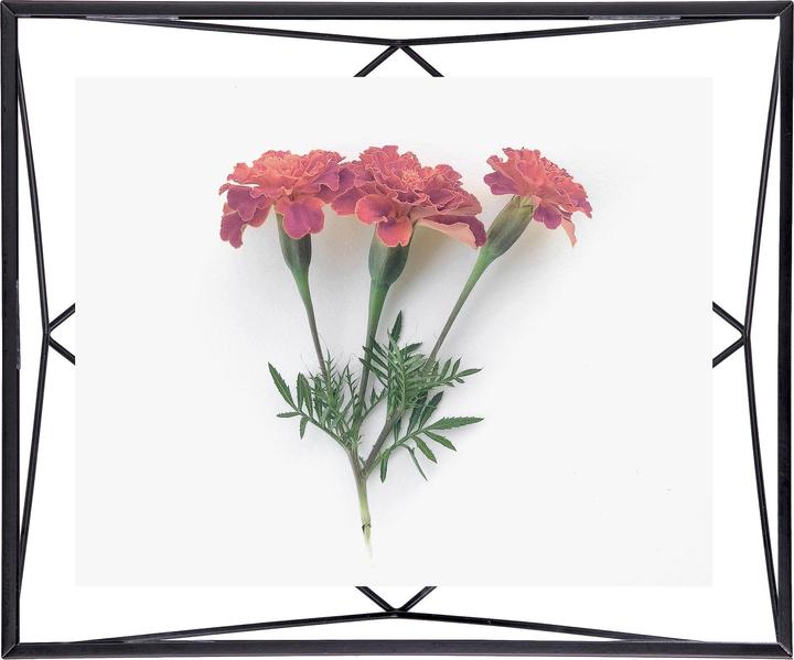 Image du produit Umbra Prisme (20 x 25 cm)