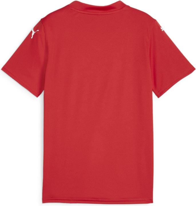 Image du produit Puma teamGLORY Jersey Jr (164)