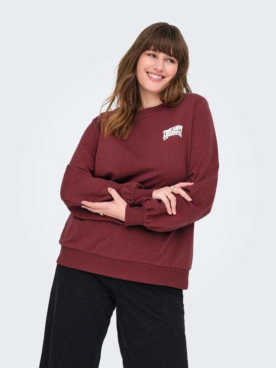 Actual product image Only CARKAVIRA Sweatshirt Sweatshirt (L)