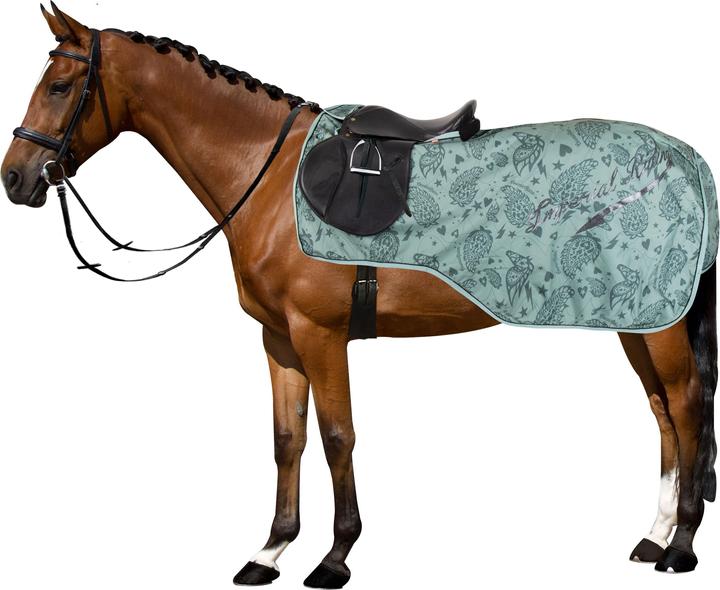 Actual product image Imperial Riding Ambient