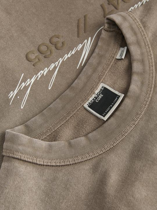 Image du produit Jack & Jones Jcoathletico Graphic Wash Sweat Cn Jnr (164)