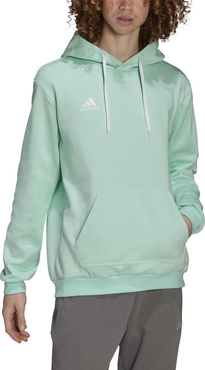 Image du produit adidas Sweat-shirt Entrada 22 M HC5081 (M)
