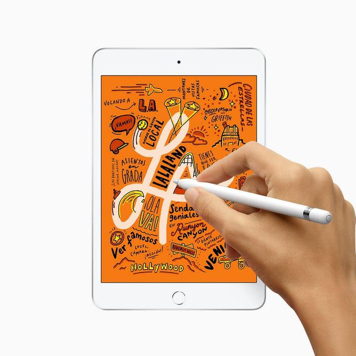 Produktbild Apple iPad mini 2019 (5. Gen) (nur WLAN, 7.90", 64 GB, Space Grau)