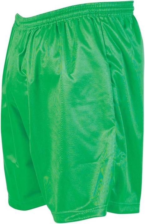 Precision ErwachsenenFussballshorts mit MikroStreifen