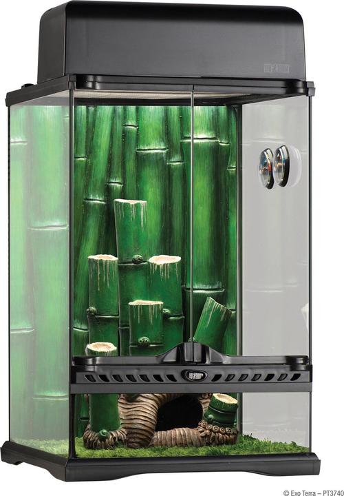Image du produit Exo Terra Forêt de bambous