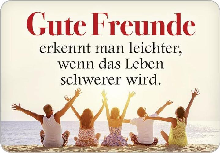 Blechschild Gute Freunde (16.5 x 11.5 cm)