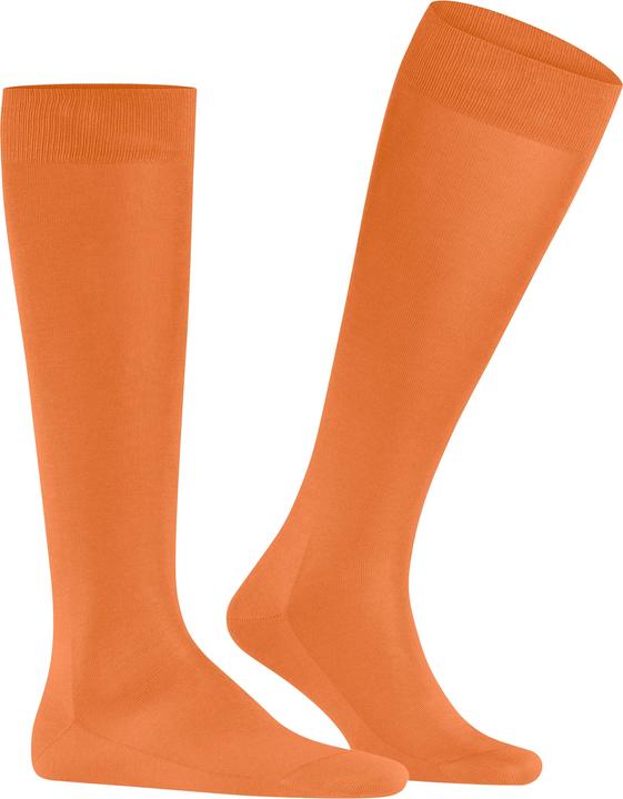 Produktbild Falke Tiago Herren (43 - 44)