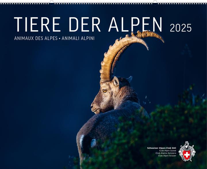 Immagine prodotto Animali delle Alpi 2025 (Tedesco)