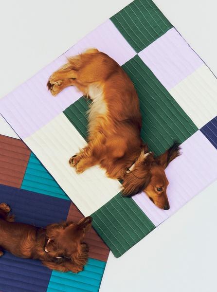 Actual product image HAY - Quilted Dogs Travel Blanket 80 x 80 (Lavender, Green & Blue) (Dog)