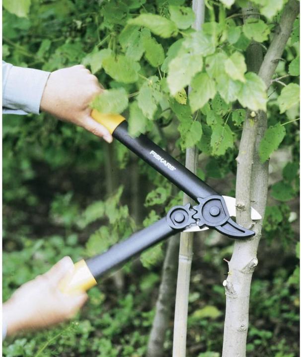 Image du produit Fiskars Sécateur élagueur à enclume PowerGear, 40
