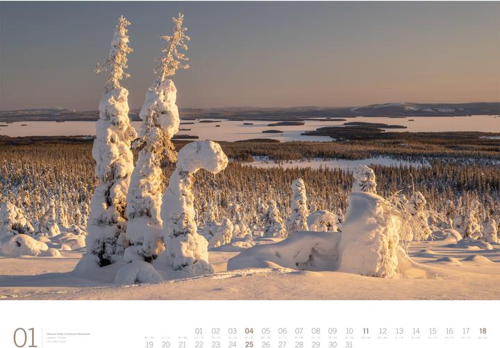 Image du produit Wald - Gallery Kalender 2026 (66 x 50 cm, Couverture rigide, Anglais, Allemand)