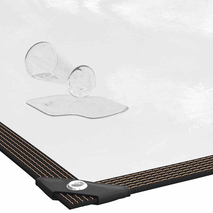 Image du produit VidaXL Bâche transparente avec oeillets 10x10 m polyéthylène bâche transparente (10 x 10 m)