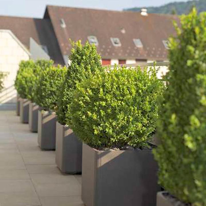 Image du produit Eternit Delta (45 cm)