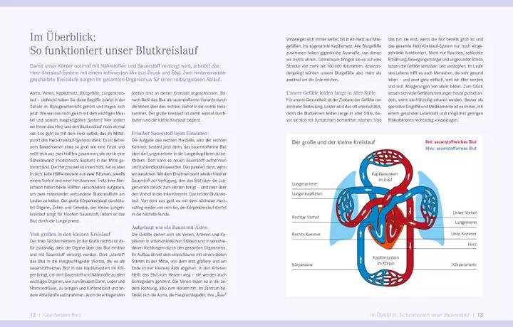 Image du produit Die Ernährungs-Docs - Starkes Herz (Allemand, Silja Schäfer, Jörn Klasen, Anne Blot, Matthias Riedl, 2021)