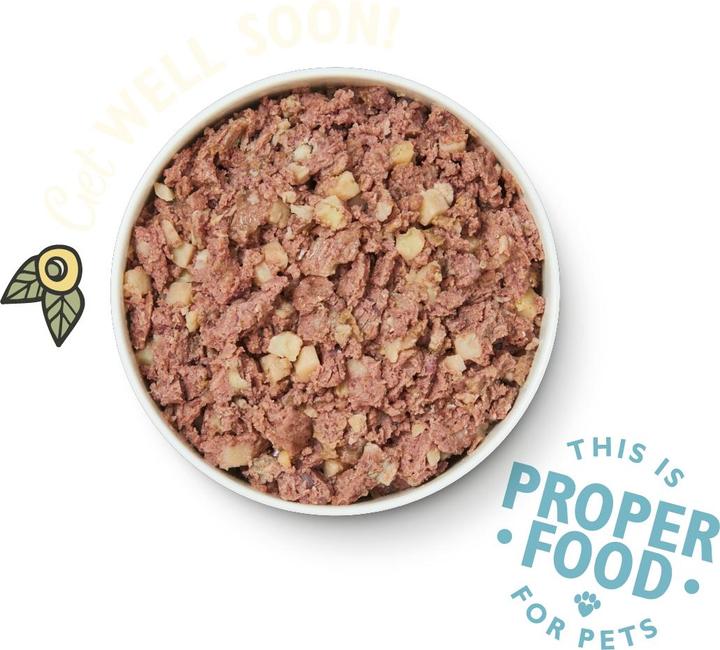 Produktbild Lily's Kitchen Recovery Recipe (Adult, 1 Stk., 400 g)