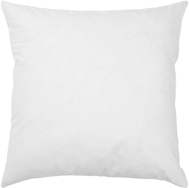 Produktbild PAD Kissen mit Federn (40 x 40 cm)