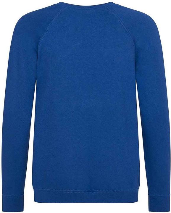 Immagine prodotto Awdis Academy Felpa Raglan Bambini (146, 152)