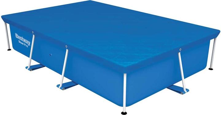 Actual product image Bestway Silas