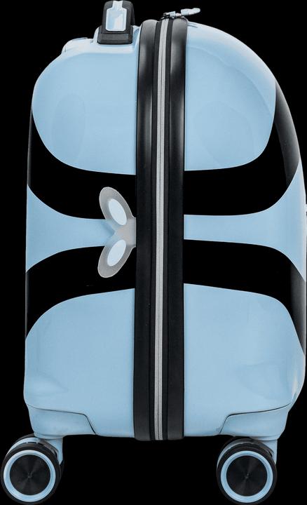 Actual product image Swissbags S (36 l, Hand luggage (up to 50 litres))