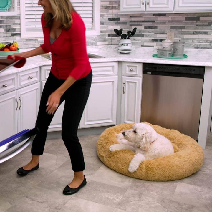 Actual product image MediaShop Peaceful Pooch Size XL (Dog)
