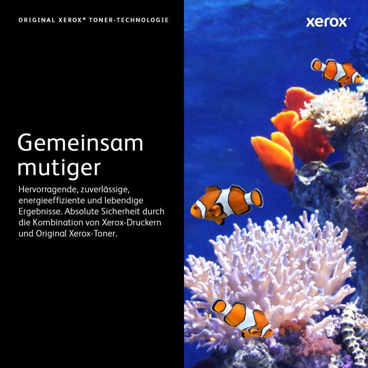 Actual product image Xerox 113r00720 (M)