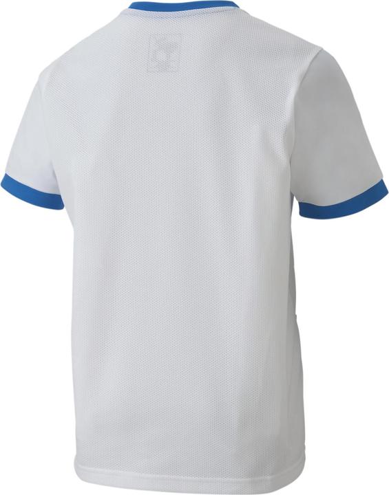 Immagine prodotto Puma Maglia teamGOAL 23 jr-704160 (164)