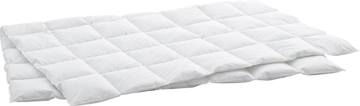 Immagine prodotto Billerbeck Edition Thea Clima Light (570 g, 160 x 240 cm)