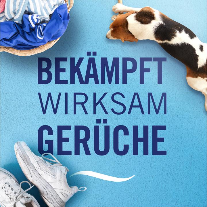 Image du produit Febreze Lufterfrischer Apfel-Zimt Duo 2x185ml Lufterfrischer