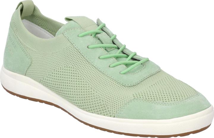 Mint