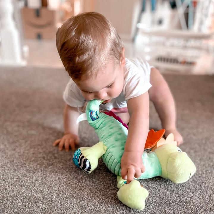 Immagine prodotto Playgro Amico Sensoriale Drago Polveroso - (10188473)