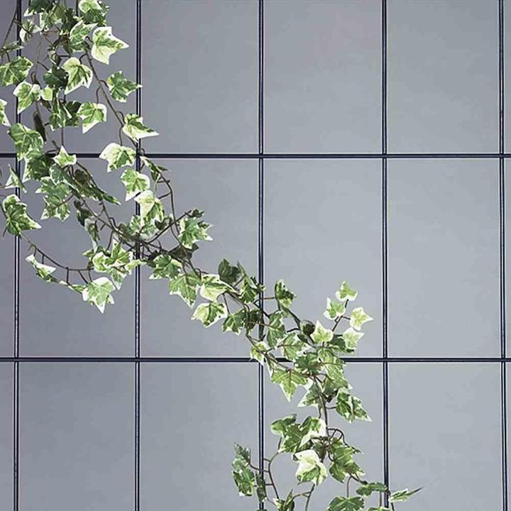 Immagine prodotto Siena Garden Traliccio (150 cm, 60 cm)