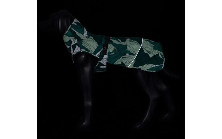 Actual product image Icepeak Winter coat Northlander Green, M (M)