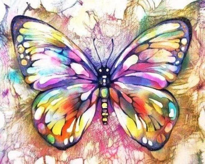 Actual product image Figured'Art Stamped Cross Stitch Kit - Butterfly and Colors