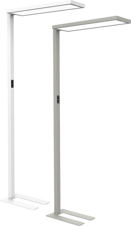 Actual product image Maul LED floor lamp MAULsenja, dimmable, motion/light sensor - white (15150 lm)