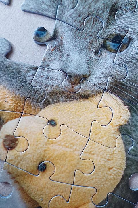 Produktbild Selecta Spielzeug Puzzle Süsses Kätzchen und schläfriger Hund, 100 Teile. (100 Teile)