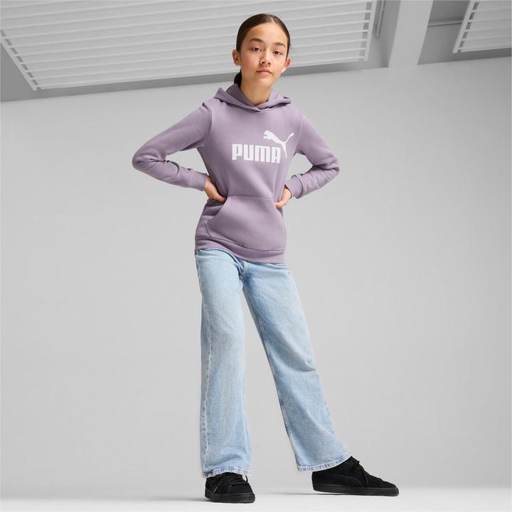 Immagine prodotto Puma Felpa con cappuccio ESS Logo FL G (164)
