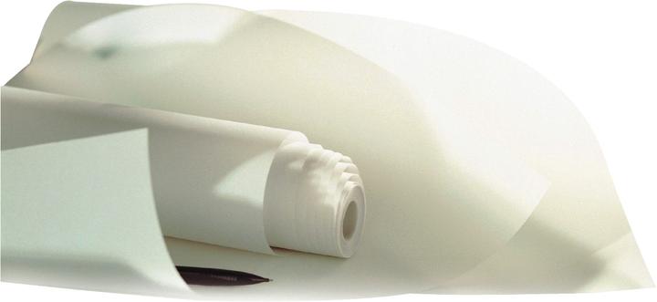 Image du produit Canson Papier à dessin, (l)375 mm x (L)20 m, très transparent (45 g/m², 20 x)