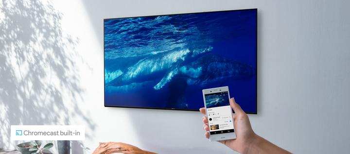 Actual product image Sony KD49XG9005 (49", LCD, 4K, 2019)