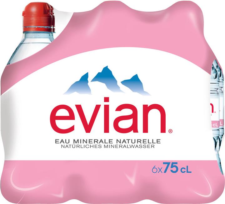 Image du produit Evian eau plate (1 x 75 cl)