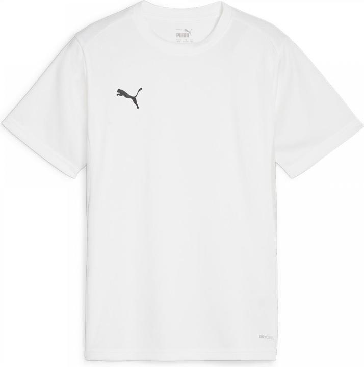 Actual product image Puma teamGOAL Jersey Jr (164)