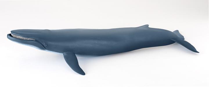 Actual product image Papo Blue whale