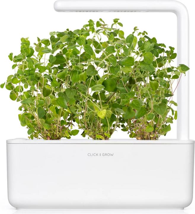 Immagine prodotto Click and Grow Origano (Semi di erbe)