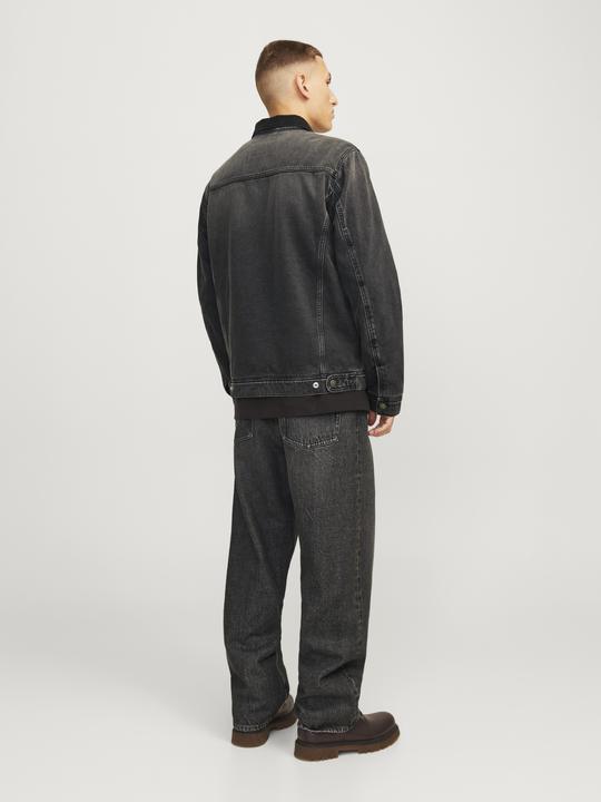 Actual product image Jack & Jones JJIALEX JJCLASSIC SBD 344 Baggy Fit Jeans Baggy Fit Jeans (30)