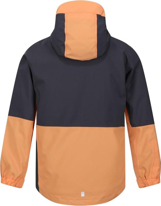Image du produit Regatta Veste étanche Hydrate VIII 3 en 1 (170, 176)