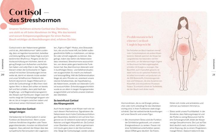 Produktbild Die Hormon-Balance-Diät (Deutsch, Rabea Kiess, 2021)