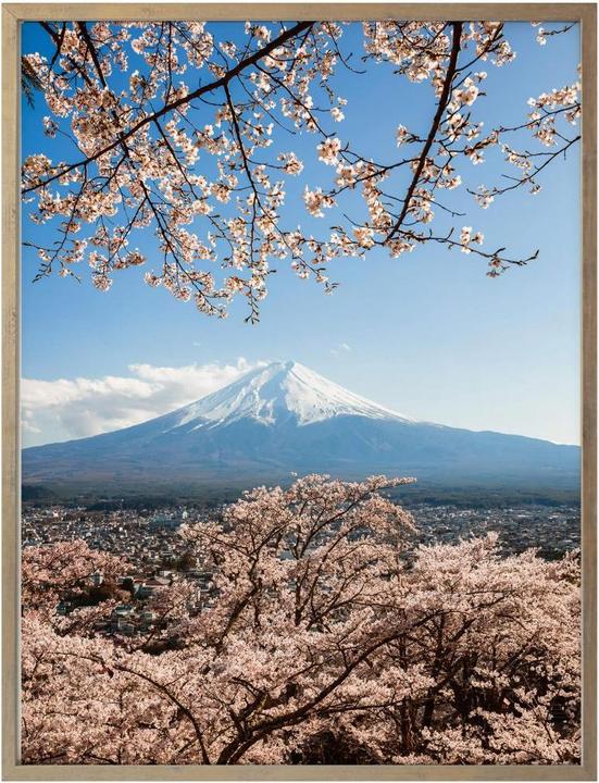 Produktbild Trenddeko Mount Fuji in Japan (100 x 120 cm)